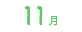 11月